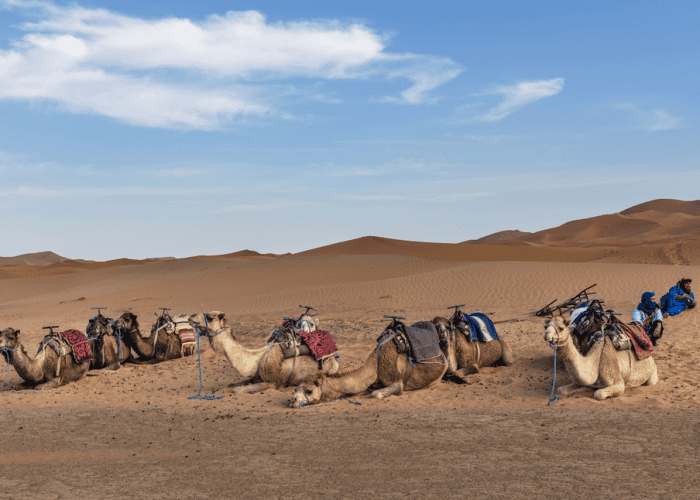 4 DAYS TOUR FROM FES TO MARRAKECH VIA ERG CHEBBI