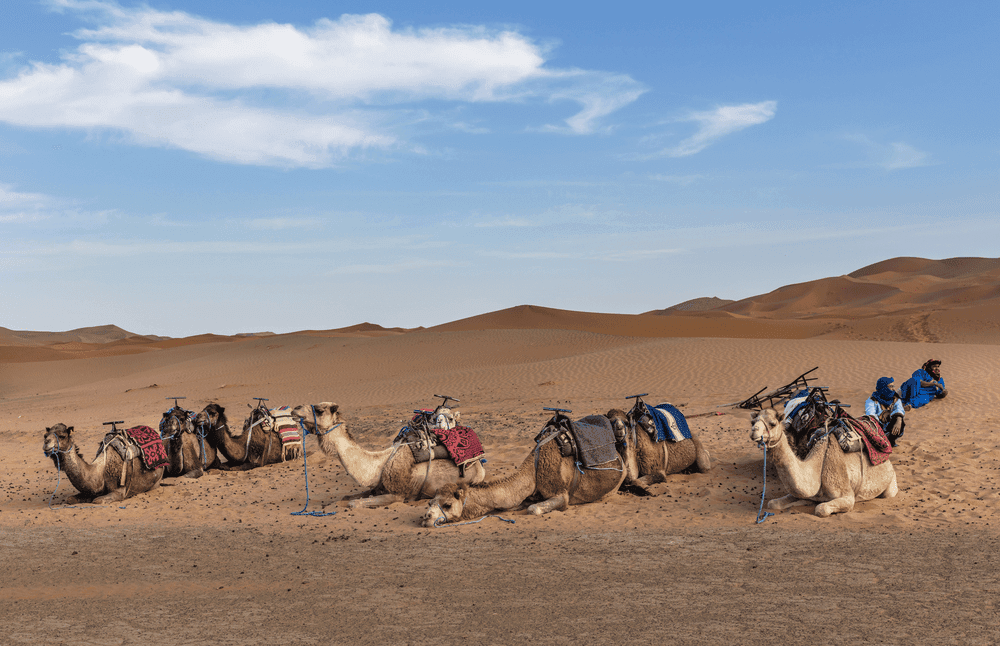 4 DAYS TOUR FROM FES TO MARRAKECH VIA ERG CHEBBI