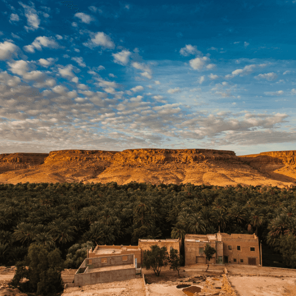 2 DAYS TOUR TO ZAGORA VIA DESERT SAHARA FROM MARRAKECH