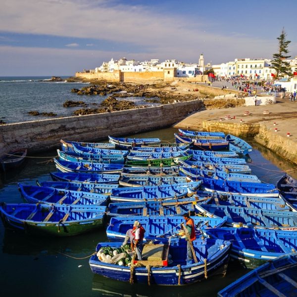 1 Day Trip to Essaouira From Marrakech