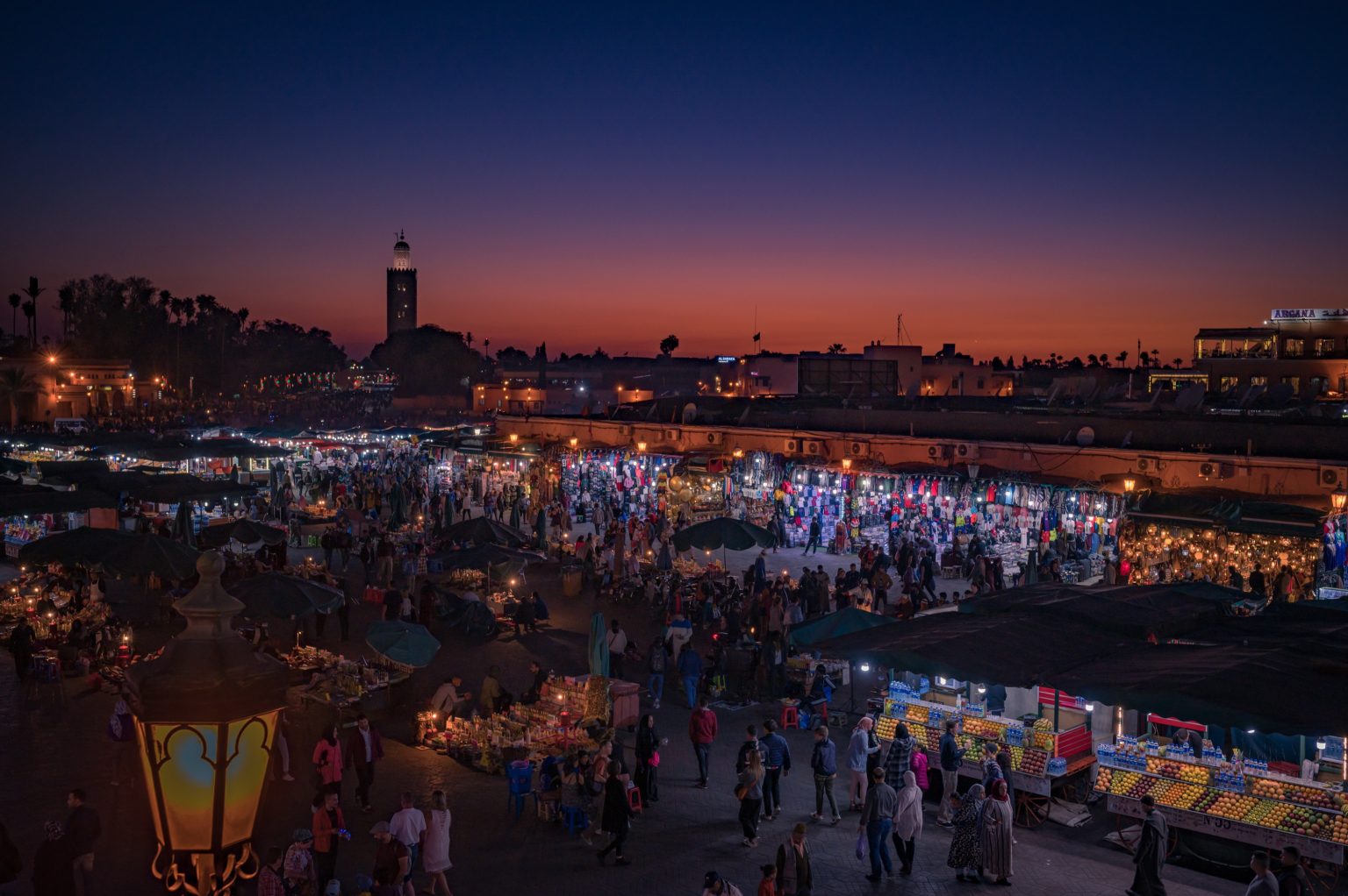 1 Day Trip to Marrakech From Casablanca