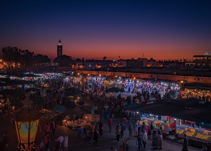 1 Day Trip to Marrakech From Casablanca