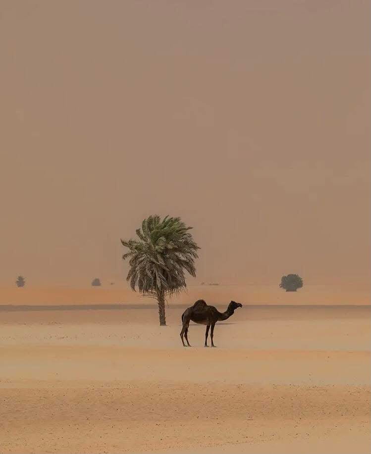 Explore Morocco - d793803f e9a3 43e0 96f0 fe99724da249 1