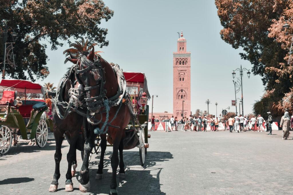 Explore Morocco - mohamed visuals Nv86wqxOS4 unsplash Explore Morocco - mohamed visuals Nv86wqxOS4 unsplash